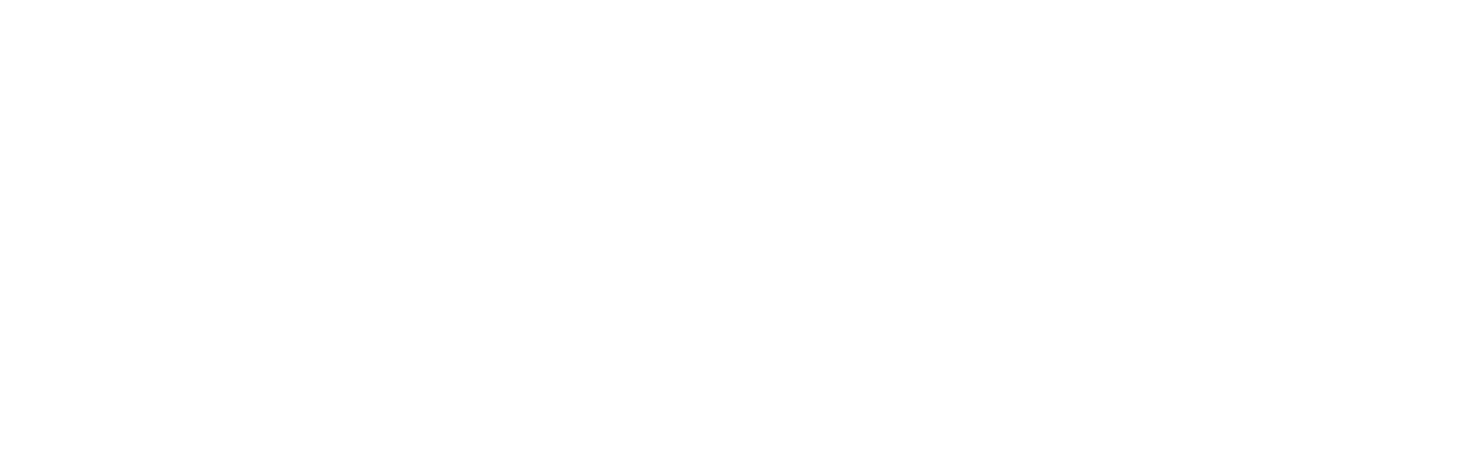 Aquilon DS™ Logo